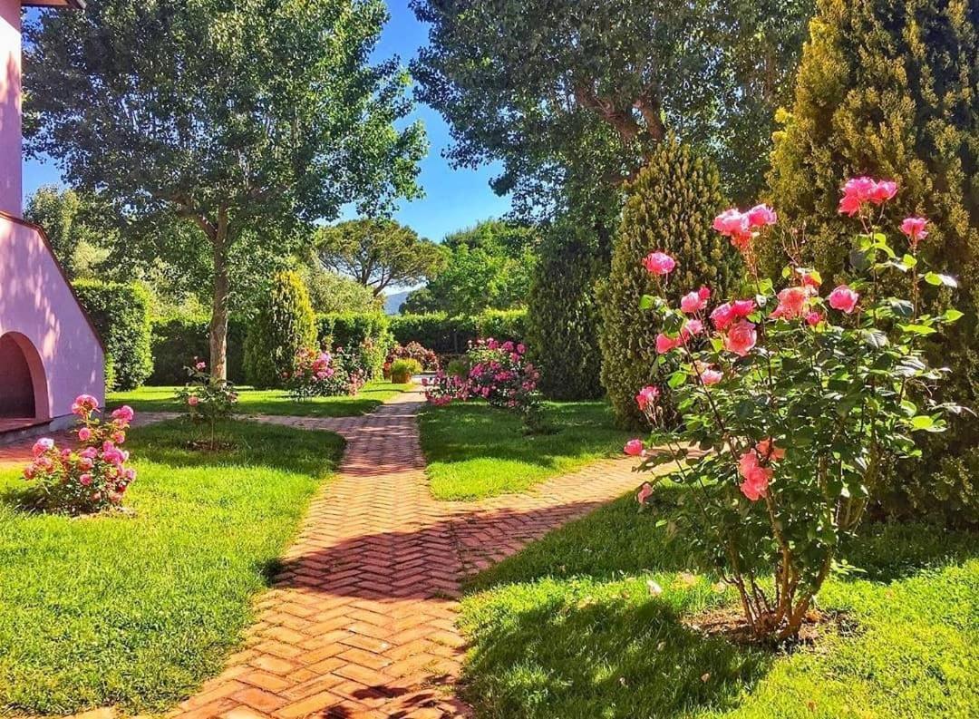 Agriturismo Villa Toscana Campiglia Marittima Eksteriør billede