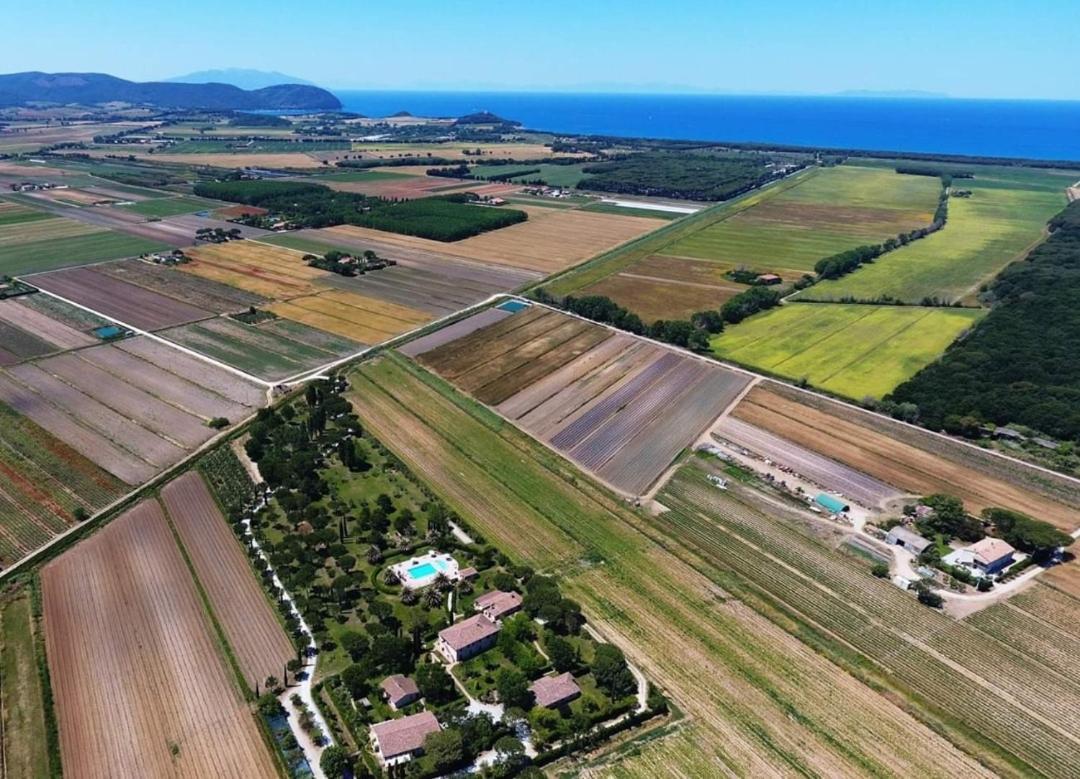 Agriturismo Villa Toscana Campiglia Marittima Eksteriør billede