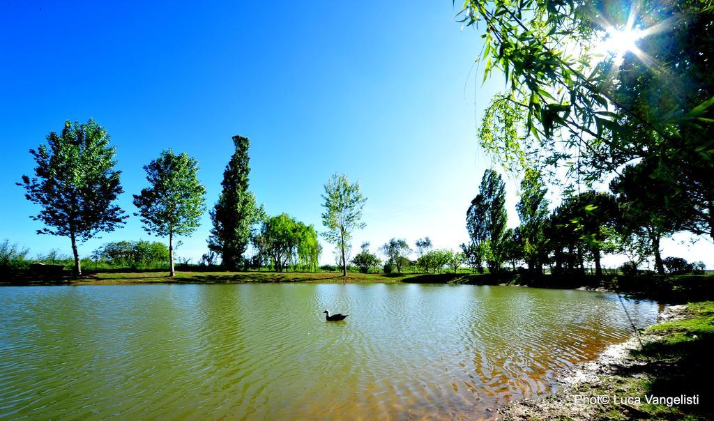 Agriturismo Villa Toscana Campiglia Marittima Eksteriør billede