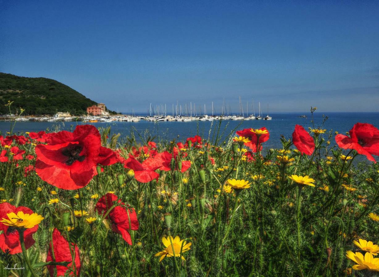 Agriturismo Villa Toscana Campiglia Marittima Eksteriør billede